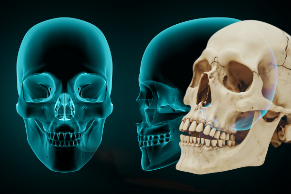 Odontolegista: 7 fatos sobre a profissão e como se tornar um